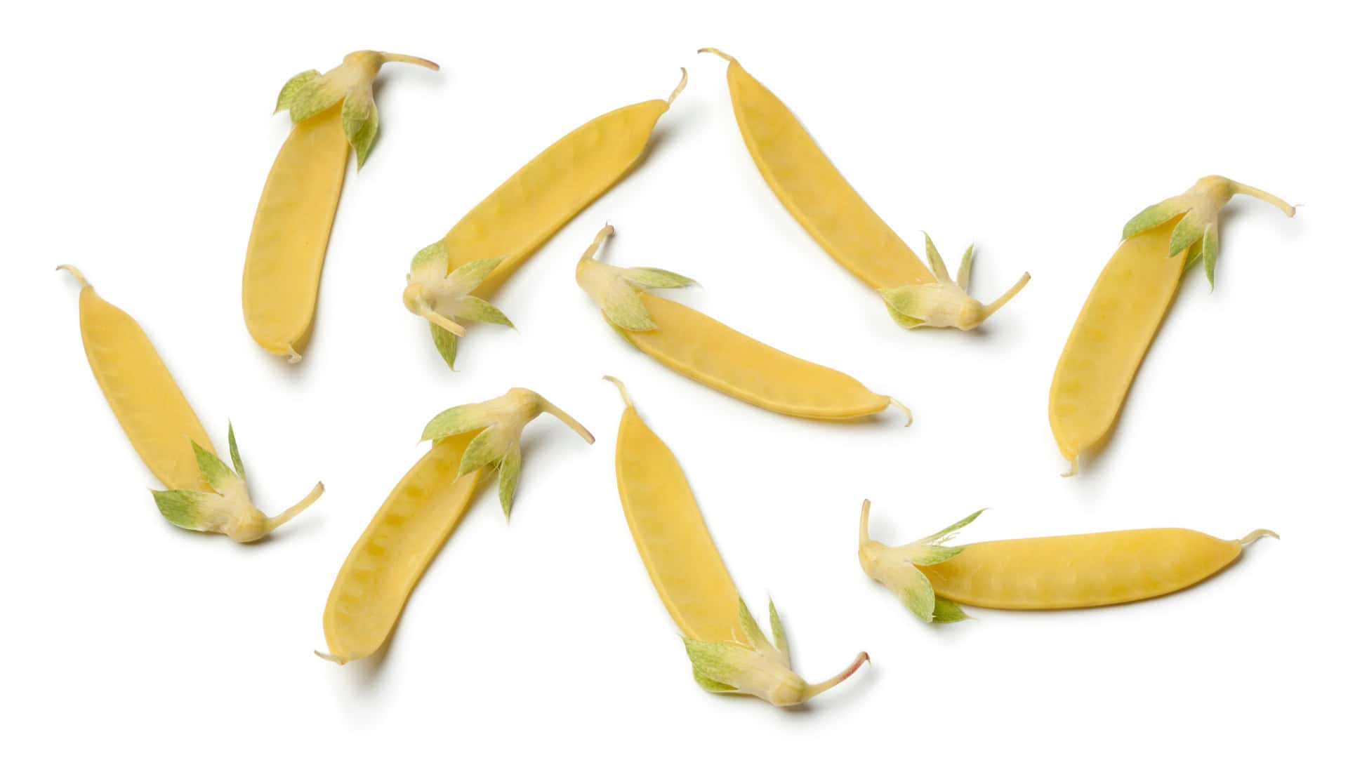 Alaska Pea Seed Bundle Sweet, Cold-Tolerant Peas for Early Harvests - Image 2