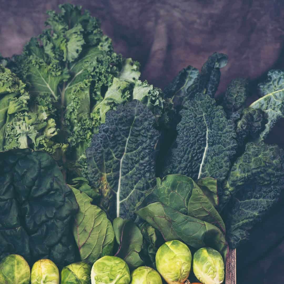 Free Garden Planner (Printable) - Image 5