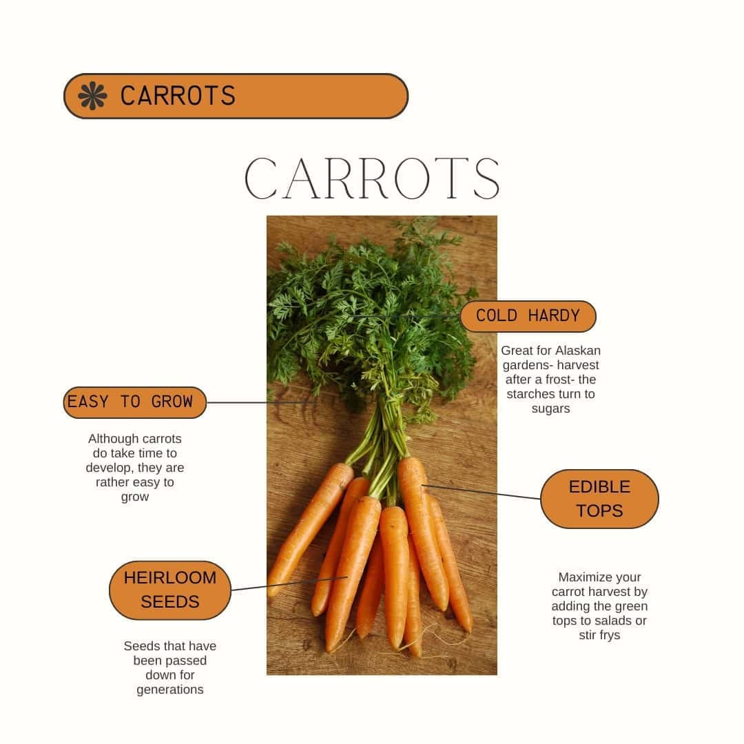 Carrot Product Guide
