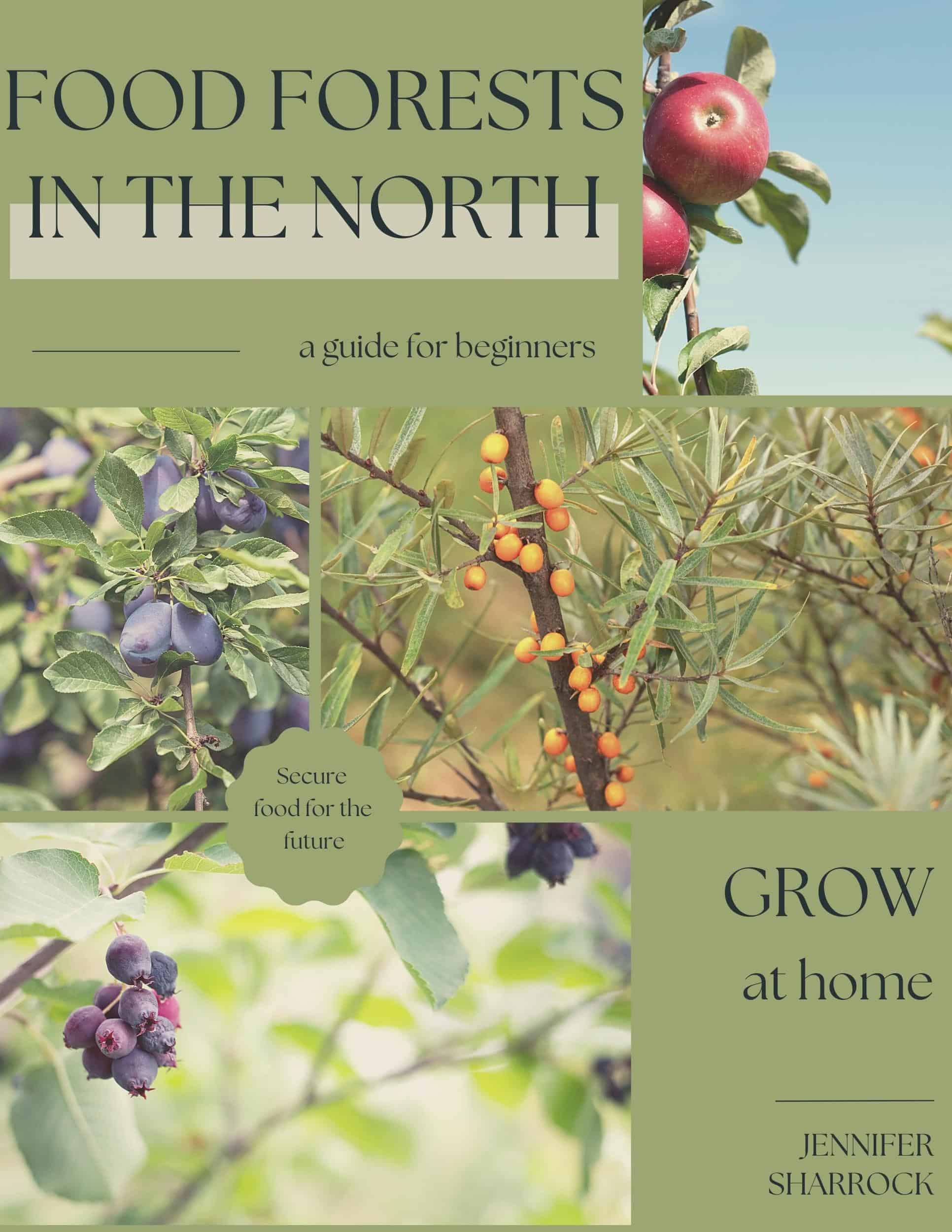 Free Food Forests in the North E-Guide