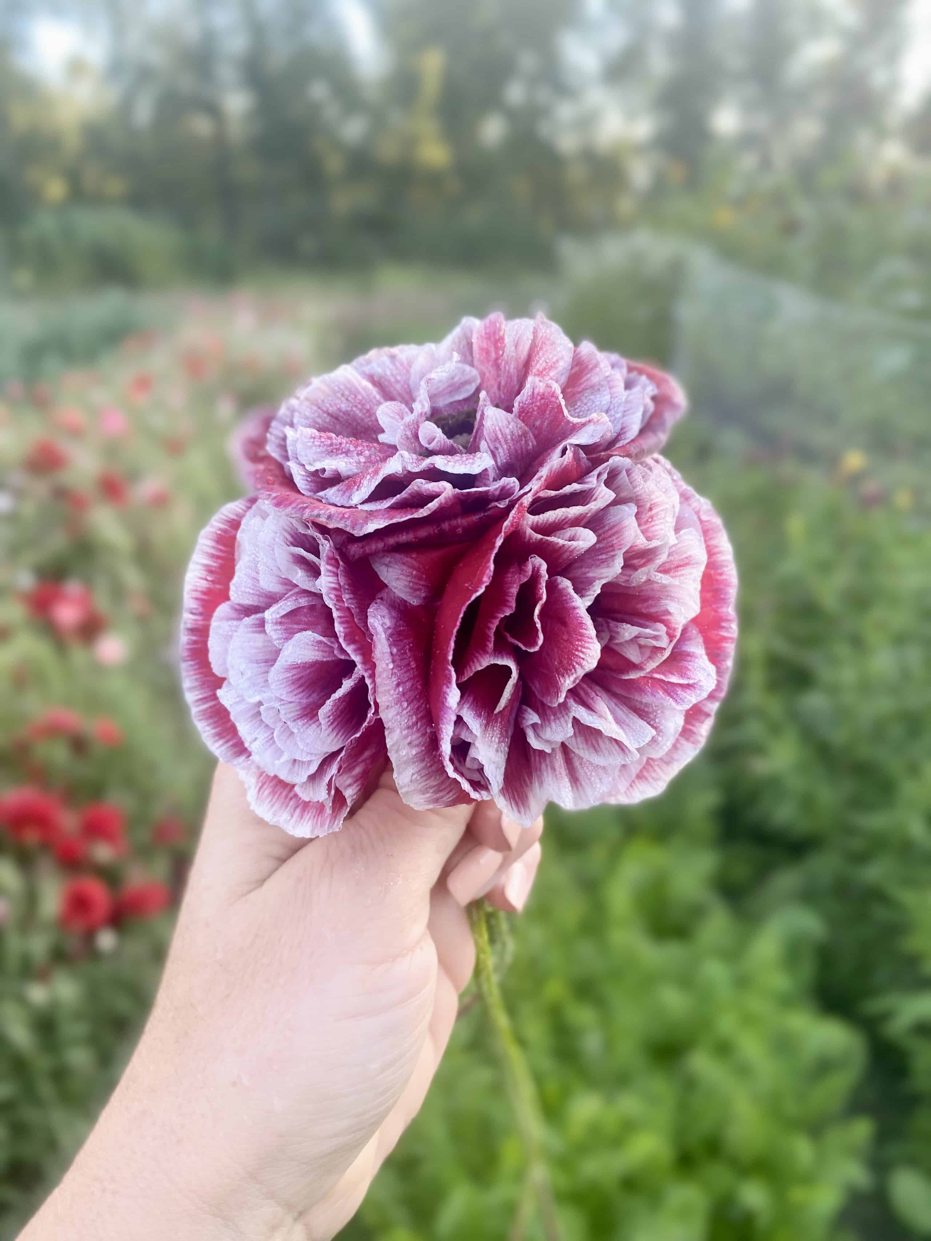 Bloom School: Flower Gardening Course Online. 