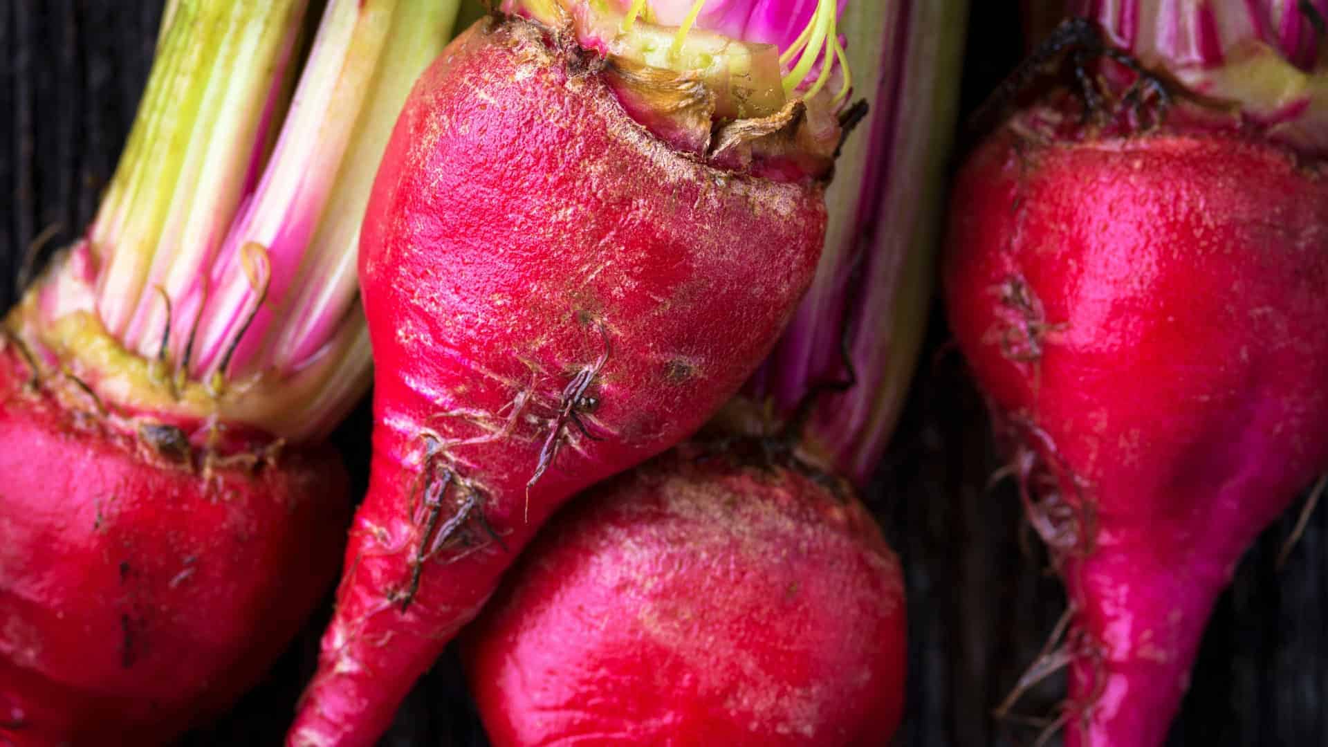 Spring Direct Sow Seed Bundle