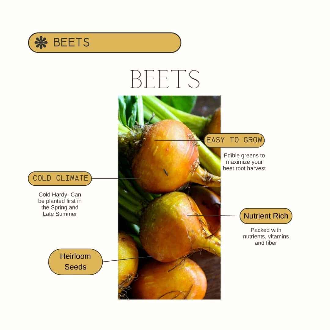 Beet Product Details