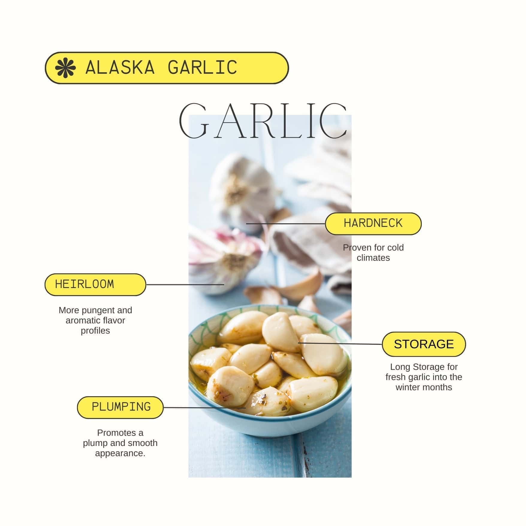 Alaska Garlic Product Details