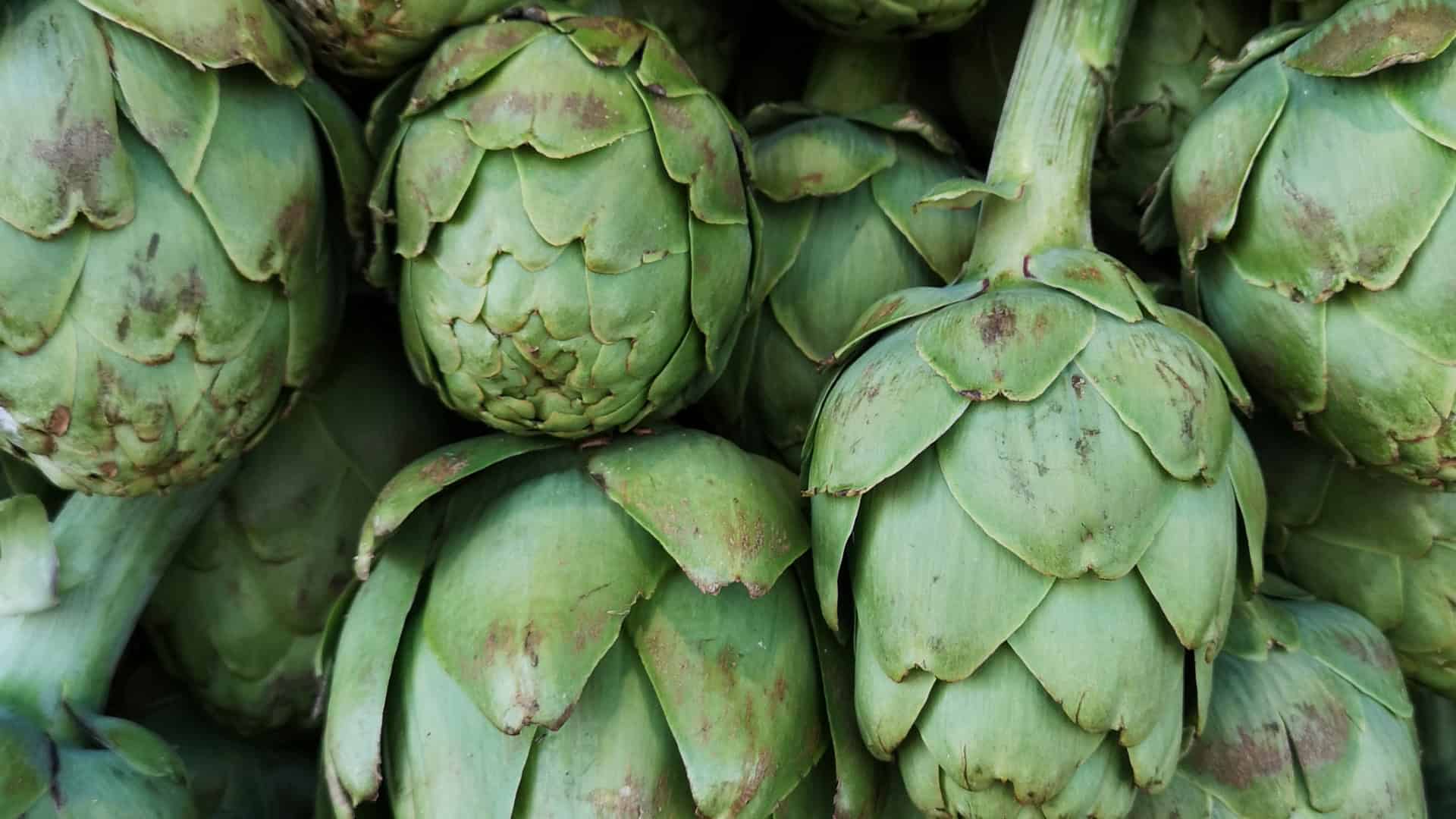 Seed Starting Class Seeds Included Winter Session