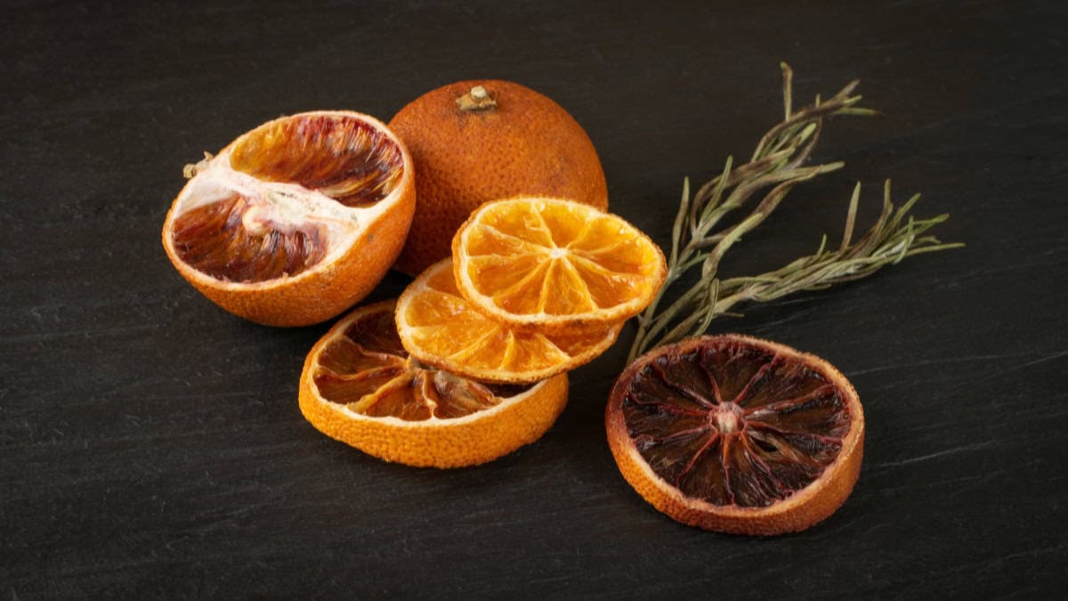 Alaska Simmer Pot - Image 6