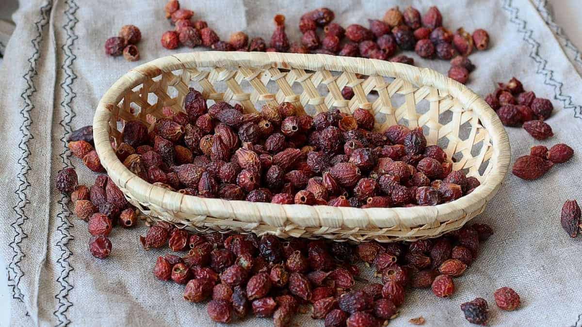 Alaska Simmer Pot - Image 4