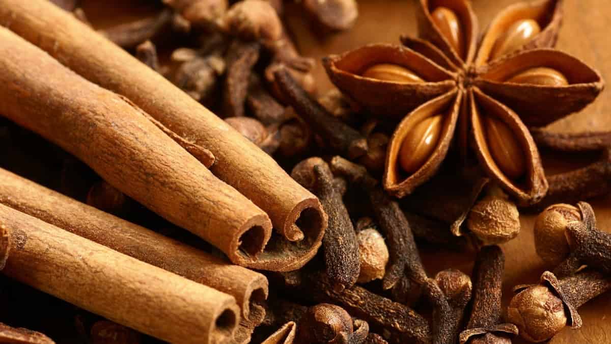 Solstice Simmer Pot - Image 5