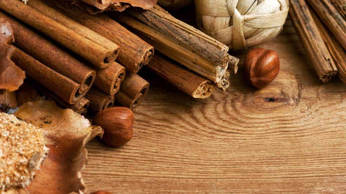 Alaska Simmer Pot - Image 8