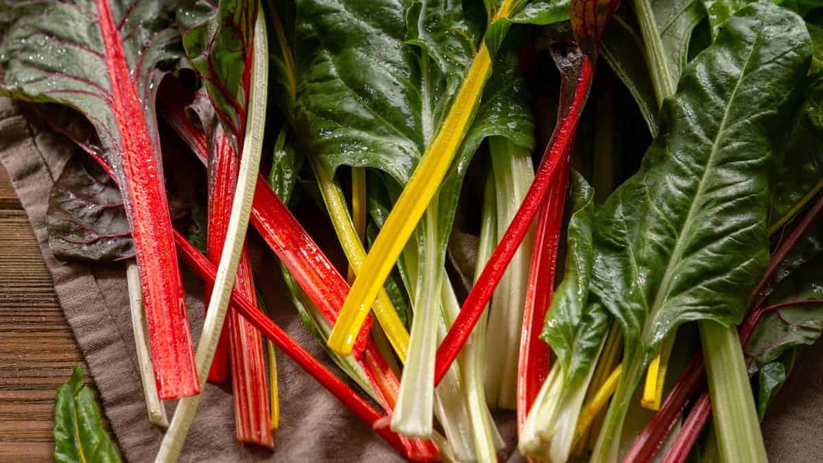 Swiss Chard Mix (Beta vulgaris) - Image 6