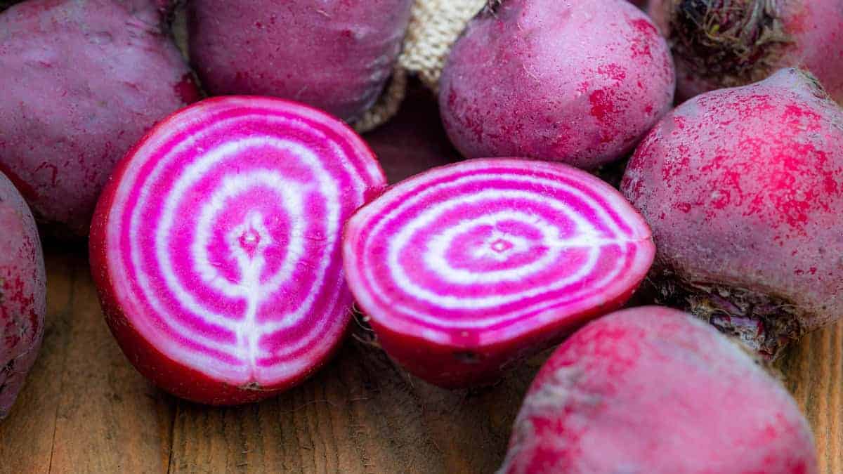 Beet Seed Blend (Beta vulgaris ssp. Cicla)