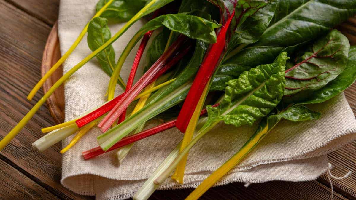 Swiss Chard Mix (Beta vulgaris) - Image 4