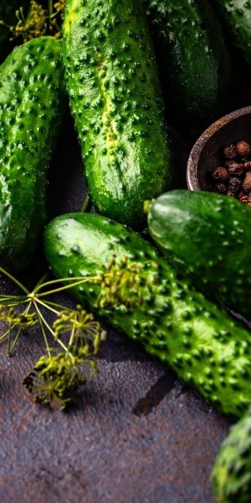 Cucumber Seed Spacemaster (Cucumis sativus) The cucumber you can grow outside in Alaska