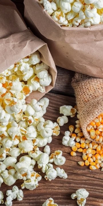 Popcorn Seed Tom Thumb (Zea mays) Corn that grows outside in Alaska without plastic