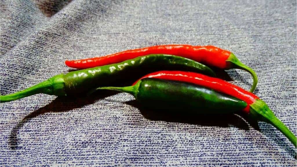Close-up of red Cayenne and green Jalapeño peppers included in our hot pepper seed blend from Seeds and Soil Farm.