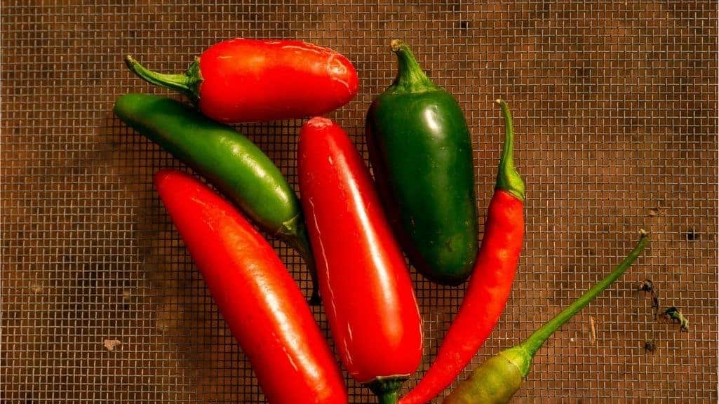 Close-up of red Cayenne and green Jalapeño peppers included in our hot pepper seed blend from Seeds and Soil Farm.