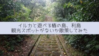 利島の観光スポット