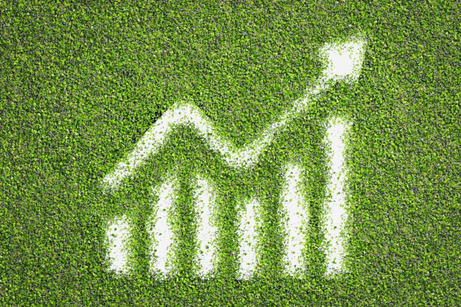 Why sustainable web design matters for legal websites