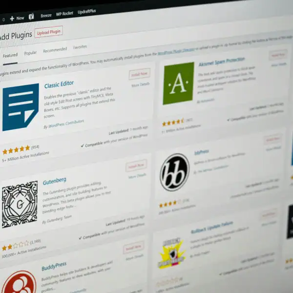 WordPress & plugin updates