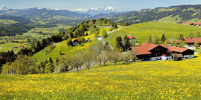Hotel Berghof am Paradies Umgebung
