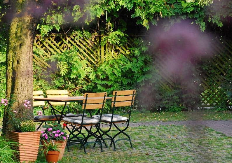 Birnbaum Garten