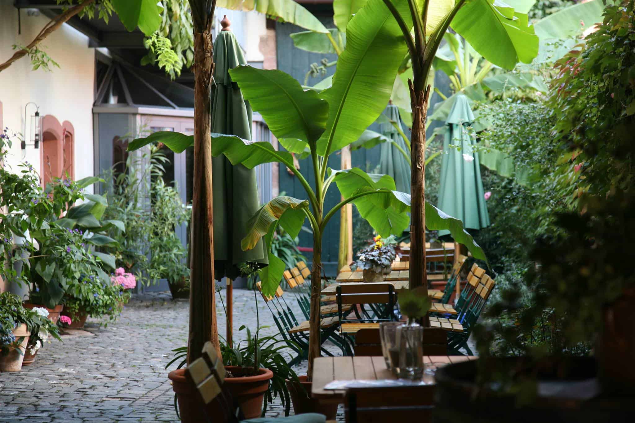 Winzerhof Garten