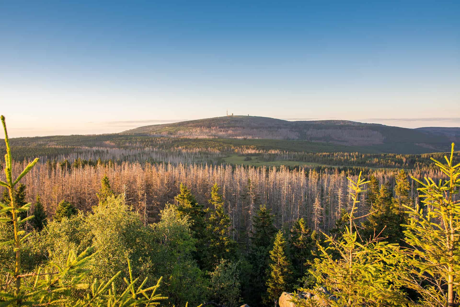 Beitragsbild Tour Harz