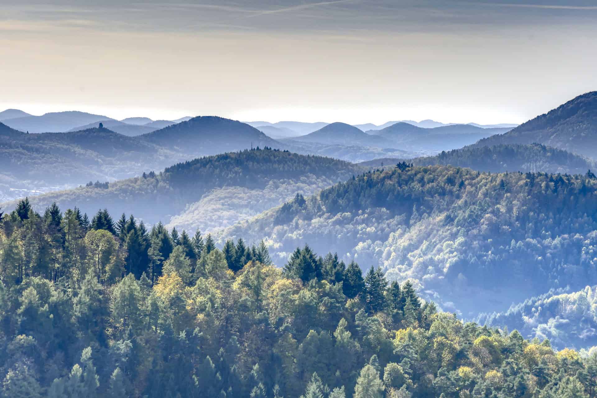 Tour Teaserbild Pfalz Kaiserslautern Wolfstein