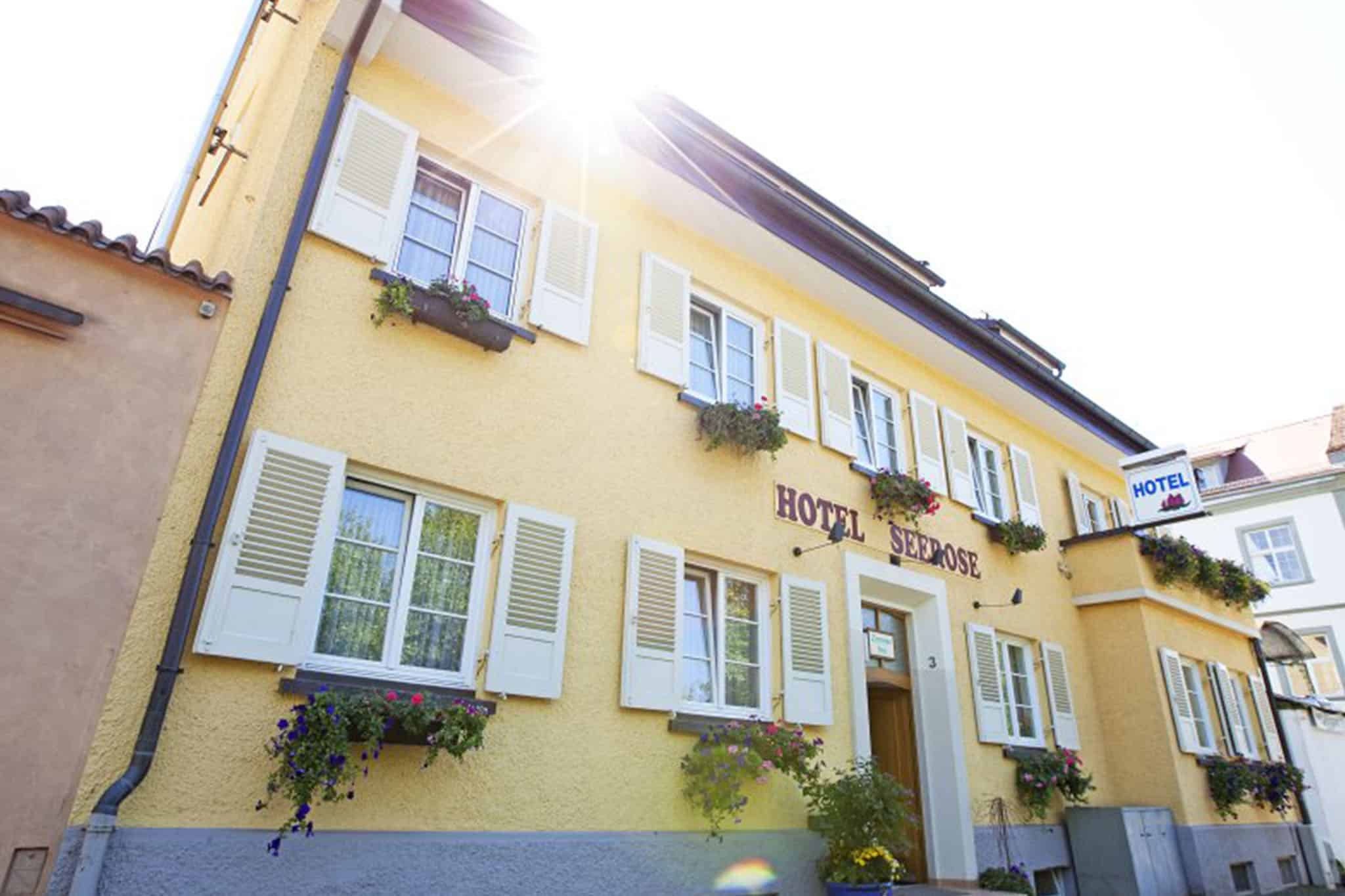 Seerose Lindau