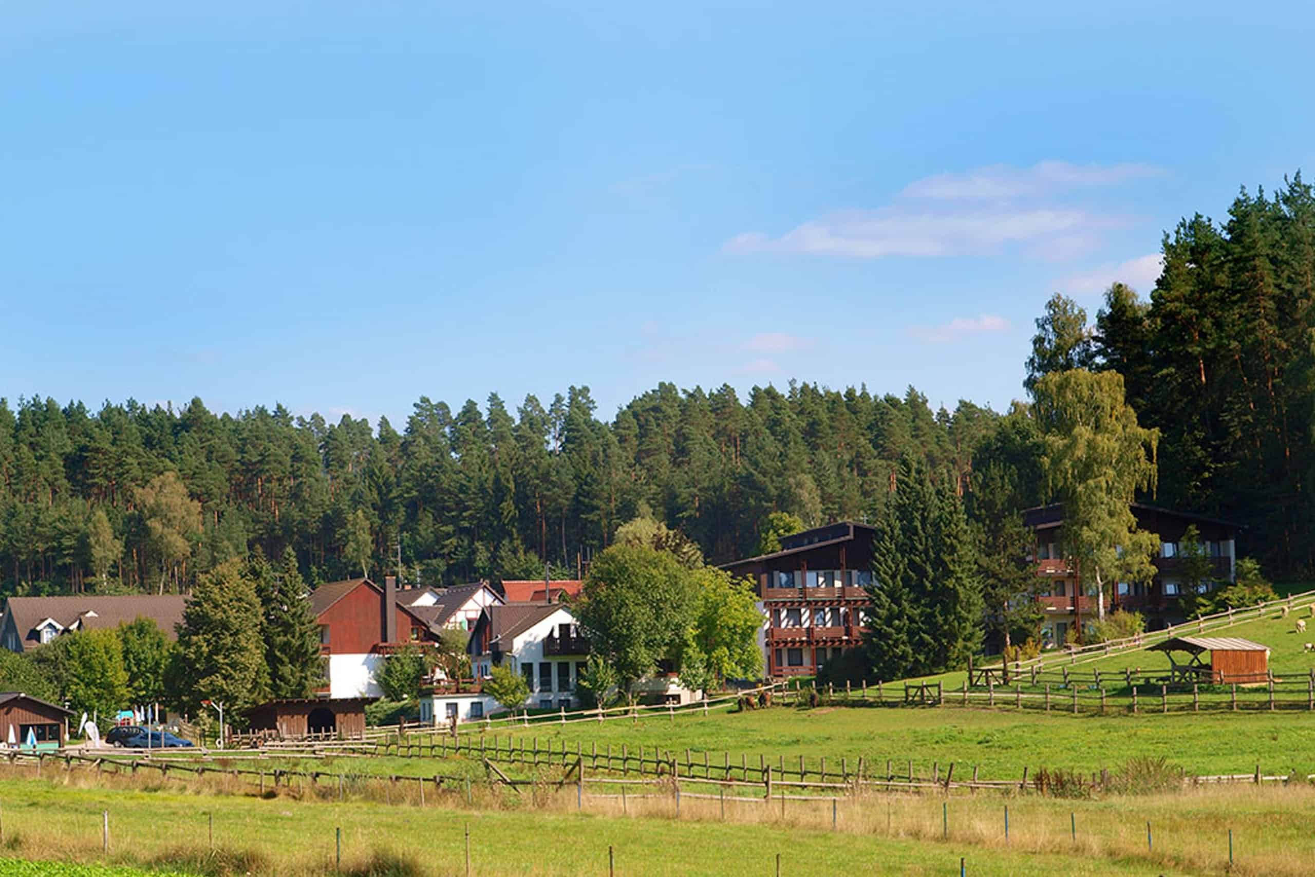 Bächler ALM