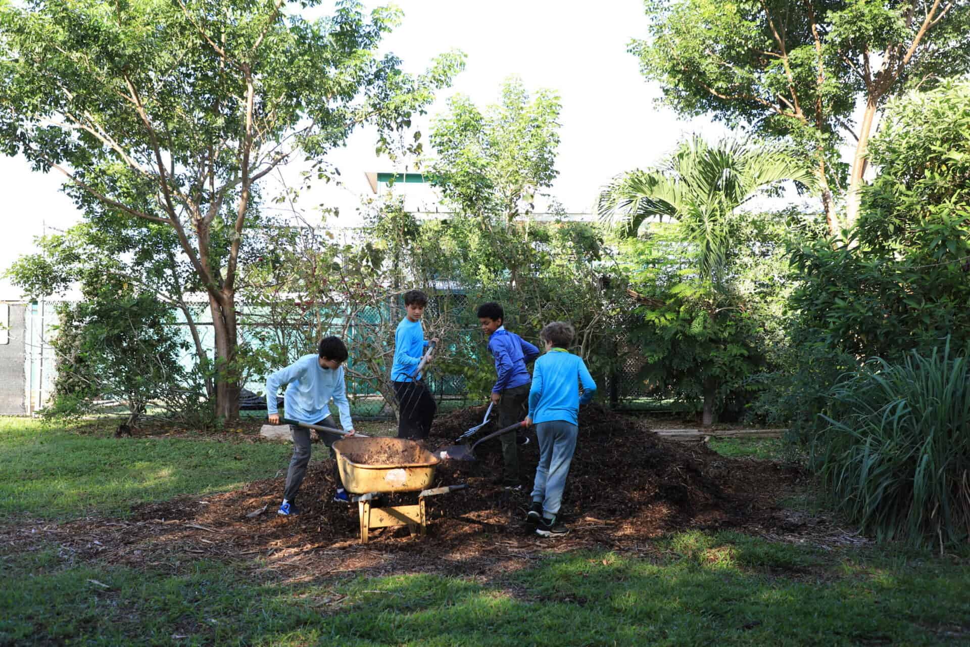 gardening