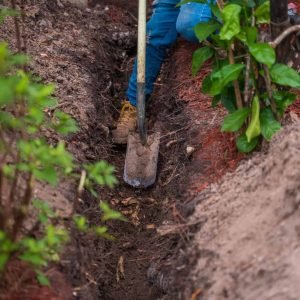 trenching drainage