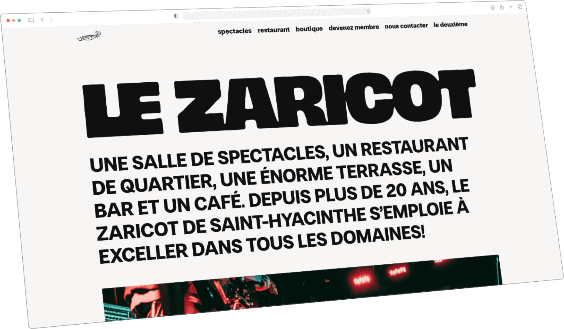 lezaricot-com-accueil-2