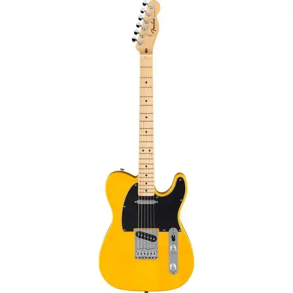 Standard Telecaster, Maple Fingerboard, Black Pickguard, Butterscotch Blonde