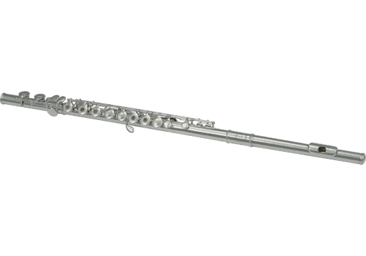 SML Paris VSM FL300R