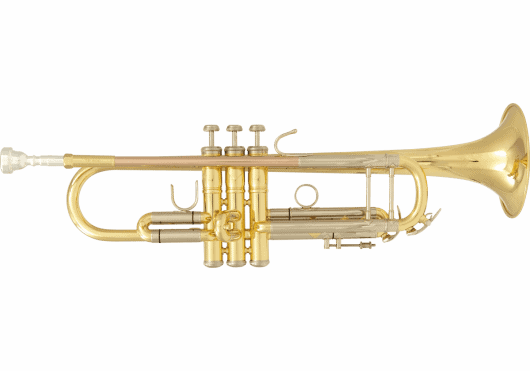 SML Paris VSM TP500