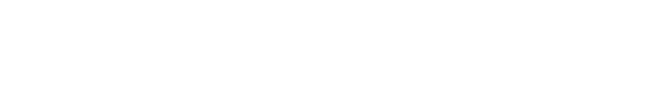 ValiantCEO