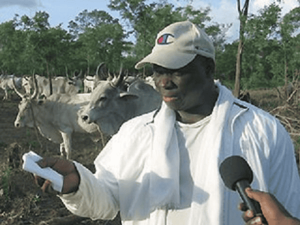 How Sheriff’s Division ‘violated court order’ in selling Jammeh’s cattle