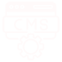 CMS Development