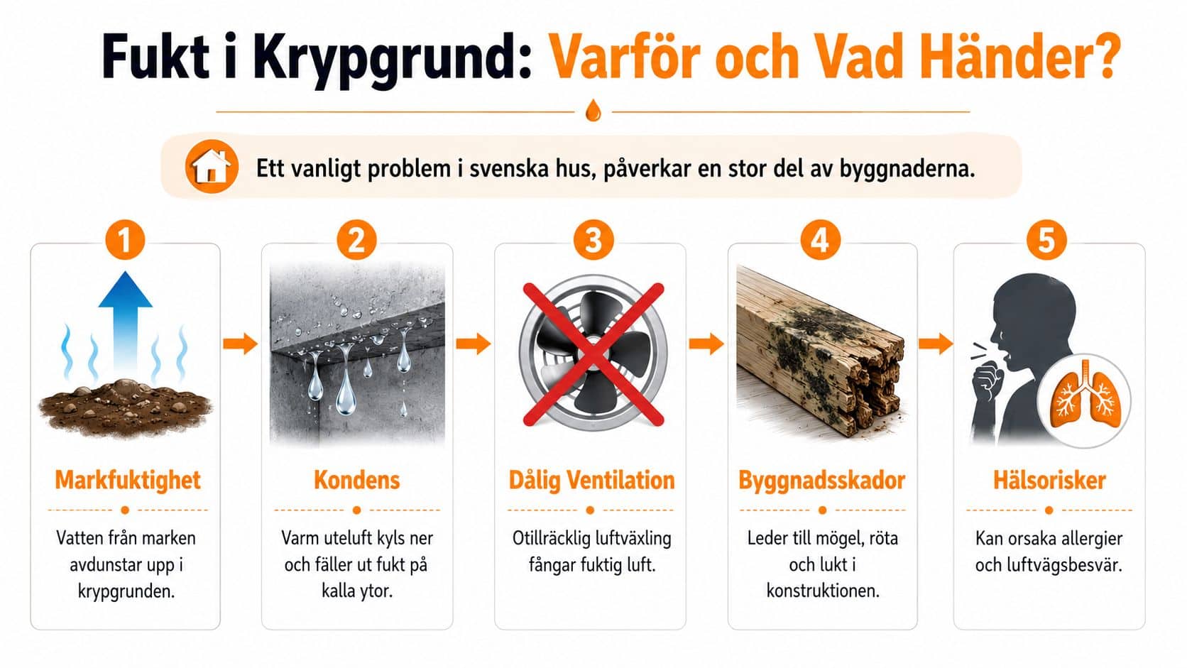 En infografik som visar fem steg för hur fukt i krypgrund leder till byggnadsskador och hälsoproblem.