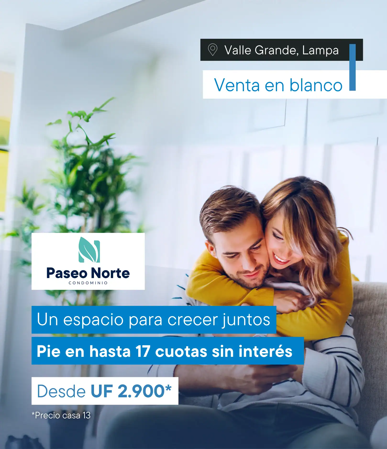Ver Proyecto