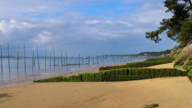 Piraillan, presqu'ile de Lège Cap Ferret, Bassin d'Arcachon