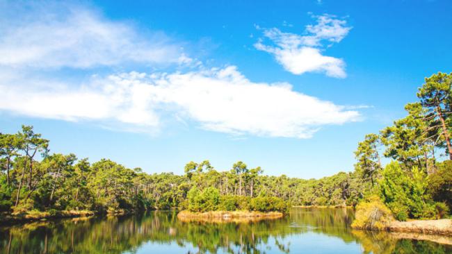 Piraillan, presqu'ile de Lège Cap Ferret, Bassin d'Arcachon
