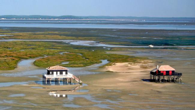 Piraillan, presqu'ile de Lège Cap Ferret, Bassin d'Arcachon