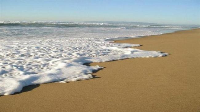 Piraillan, presqu'ile de Lège Cap Ferret, Bassin d'Arcachon