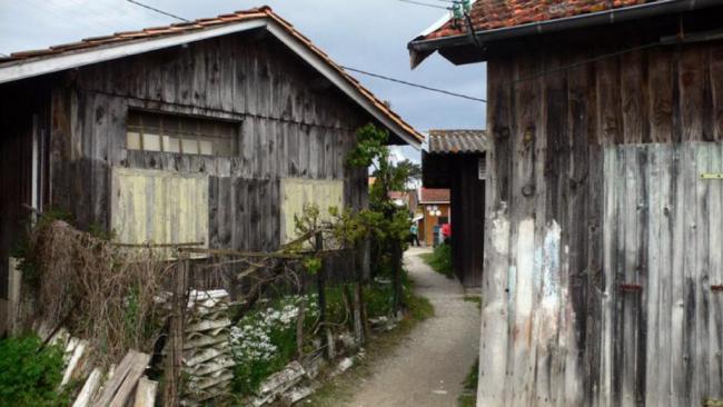 Piraillan, presqu'ile de Lège Cap Ferret, Bassin d'Arcachon