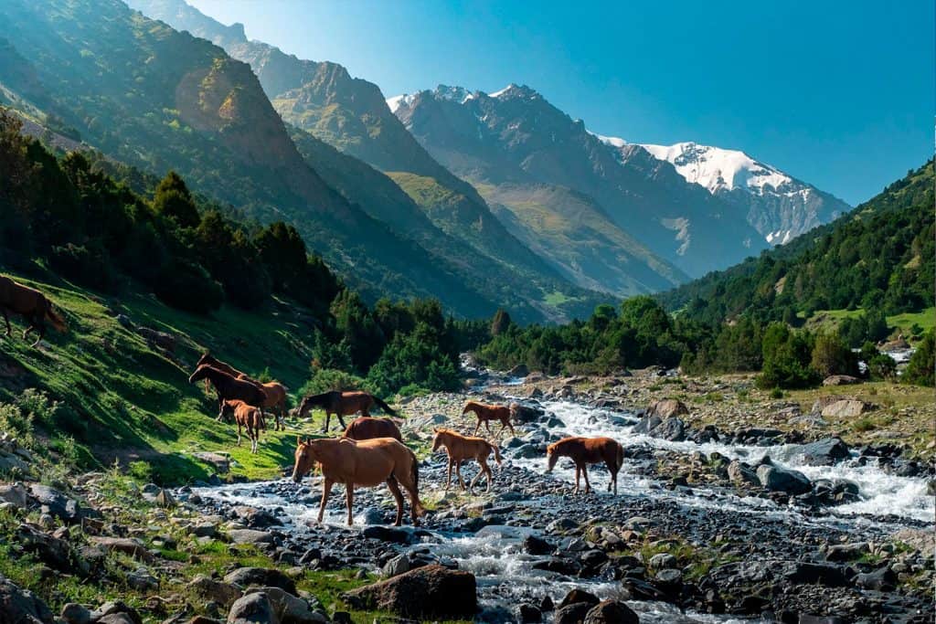 heights_alay_valley_trek