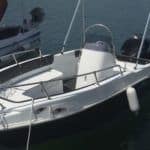 nireus 490