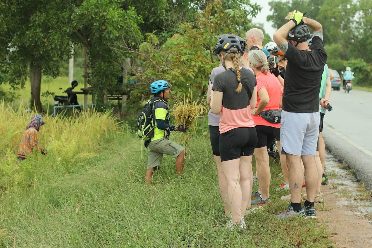 Cyclists riding through rural Cambodia on the journey to Angkor Wat, passing traditional villages, rice paddies, and scenic countryside landscapes.