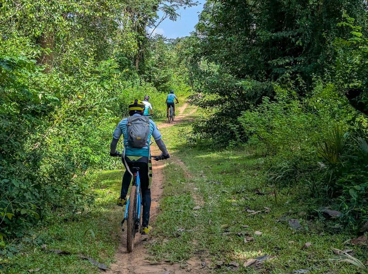 Cyclists riding on quiet backroads in Siem Reap, exploring rural Khmer villages, rice fields, lotus ponds, and scenic countryside near Angkor Wat.